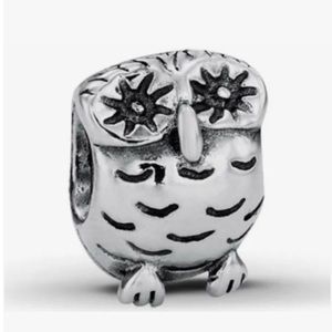Pandora Wise Owl Charm- NWOT